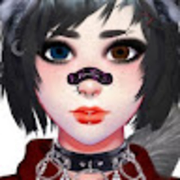 Meet your Posher, Orion - Picture 1 of 1